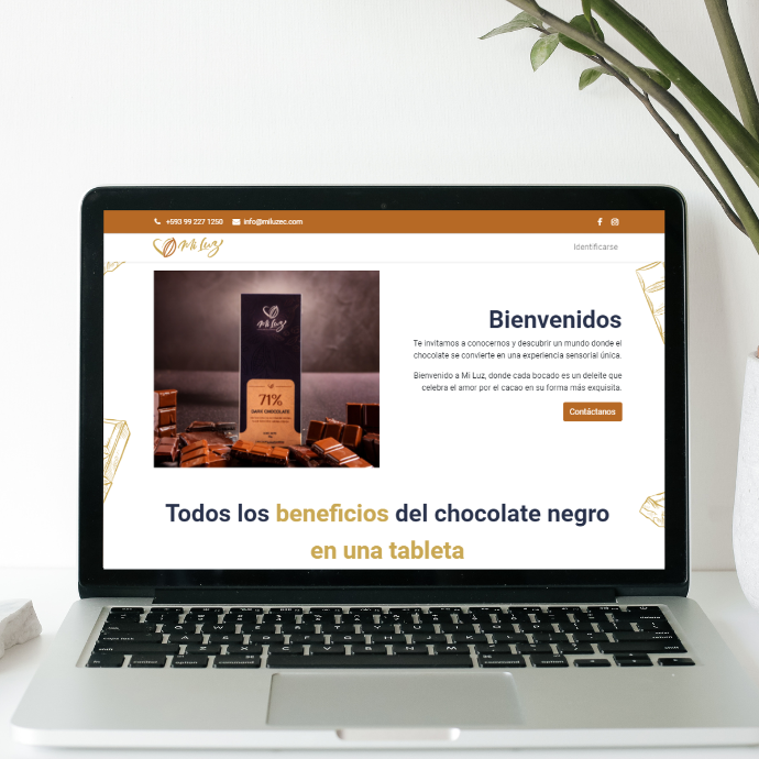 Web Mi Luz 2023 